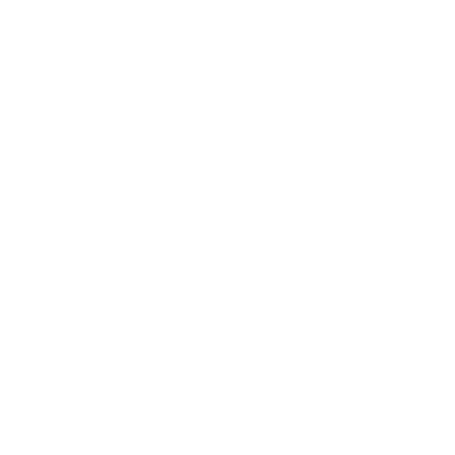 Sanctum Finance Group